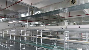 廠房通風(fēng)降溫環(huán)保空調(diào) 親歷者眼中的高效降溫與綠色轉(zhuǎn)型